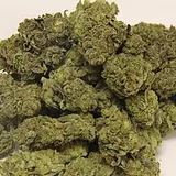 Buy Candy Jack Strain - DC Dispensaries Open Now