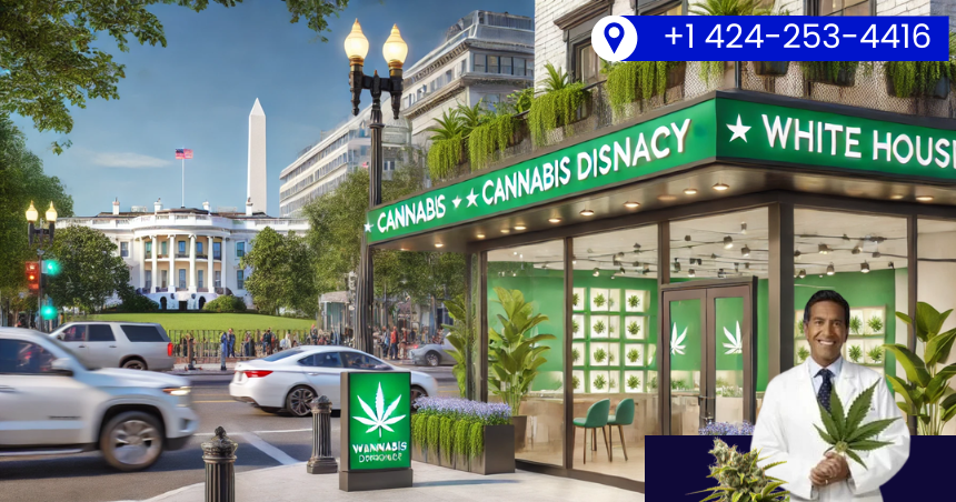 10 Surprising Facts About Cannabis You Didn't Know - Dr Feel Good Weed