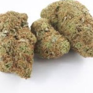 Girl Scout cookies