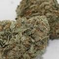 Green Crack