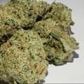 Blue Zkittlez