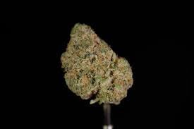Grape Cookies