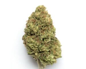 Gelato Runtz