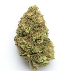 Gelato Runtz