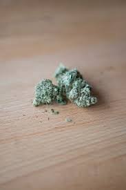 Mother Gorilla